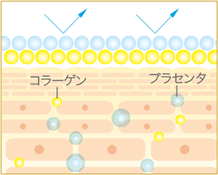 大小のプラセンタ・コラーゲンが肌への「浸透」「コーティング」の両方を叶え、自ら輝く素肌に導きます。